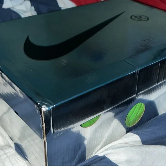 Off white dunk size 10 no zip tie